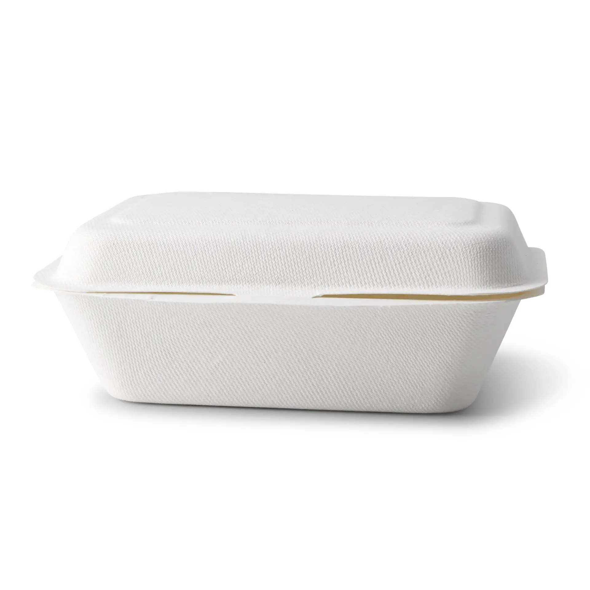 Sugarcane-containers 18.5 x 13 x 6.5 cm, hinged-lid, rectangular