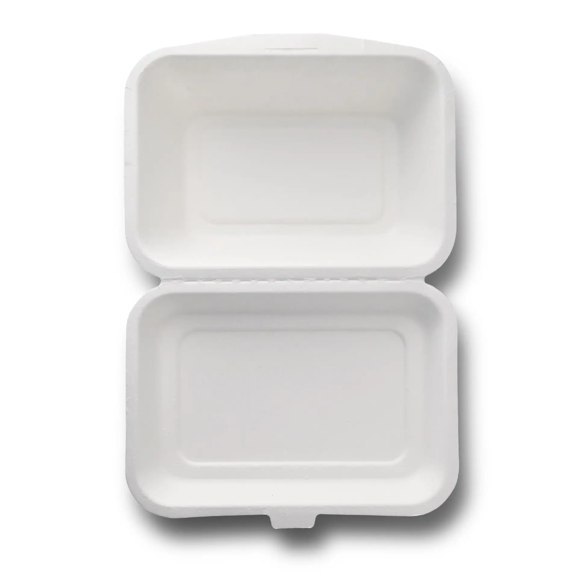 Sugarcane-containers 18.5 x 13 x 6.5 cm, hinged-lid, rectangular