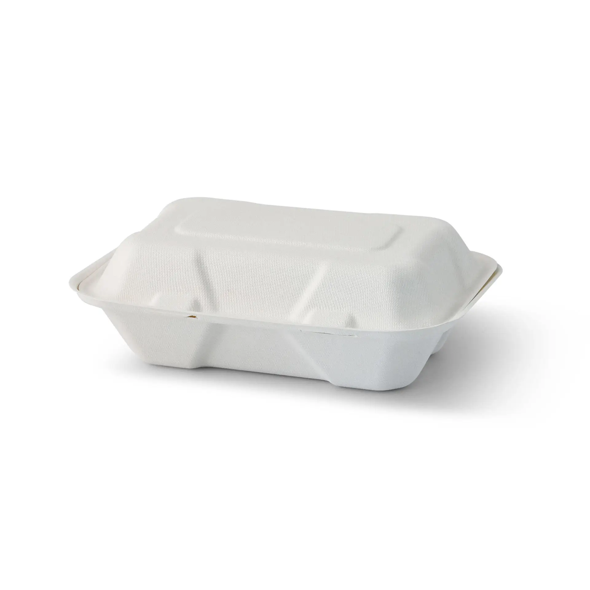 Sugarcane-containers 23 x 15.5 x 7.5 cm, hinged-lid, rectangular