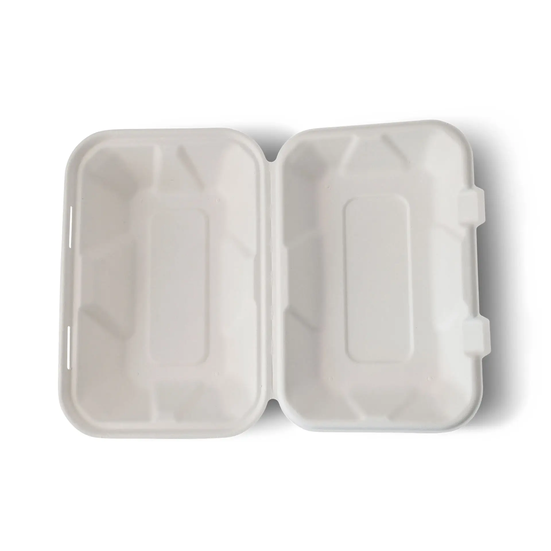 Sugarcane-containers 23 x 15.5 x 7.5 cm, hinged-lid, rectangular