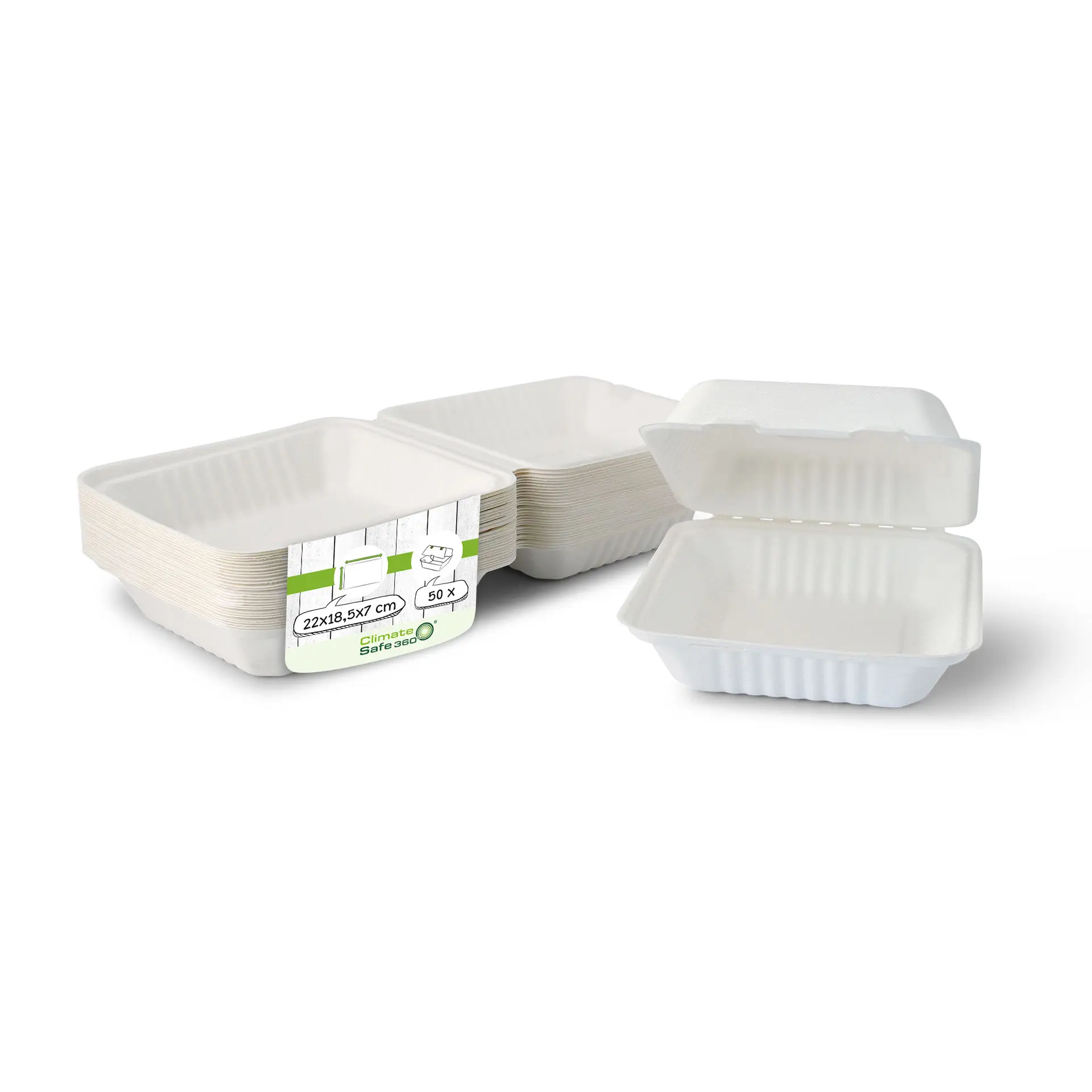 Sugarcane-containers 22 x 18,5 x 7 cm, hinged-lid, rectangular