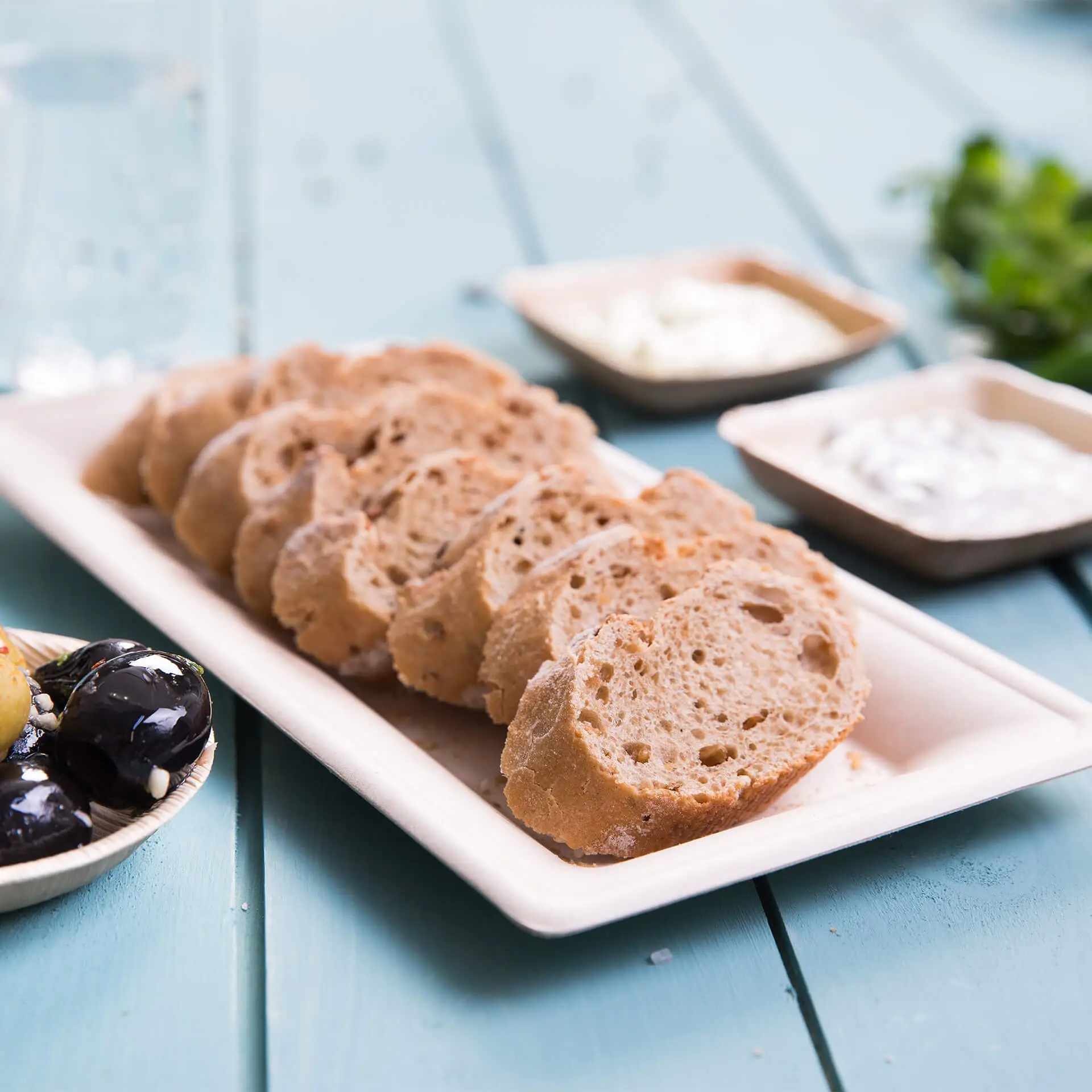 Sugarcane-plates, 26 x 13 cm, rectangular