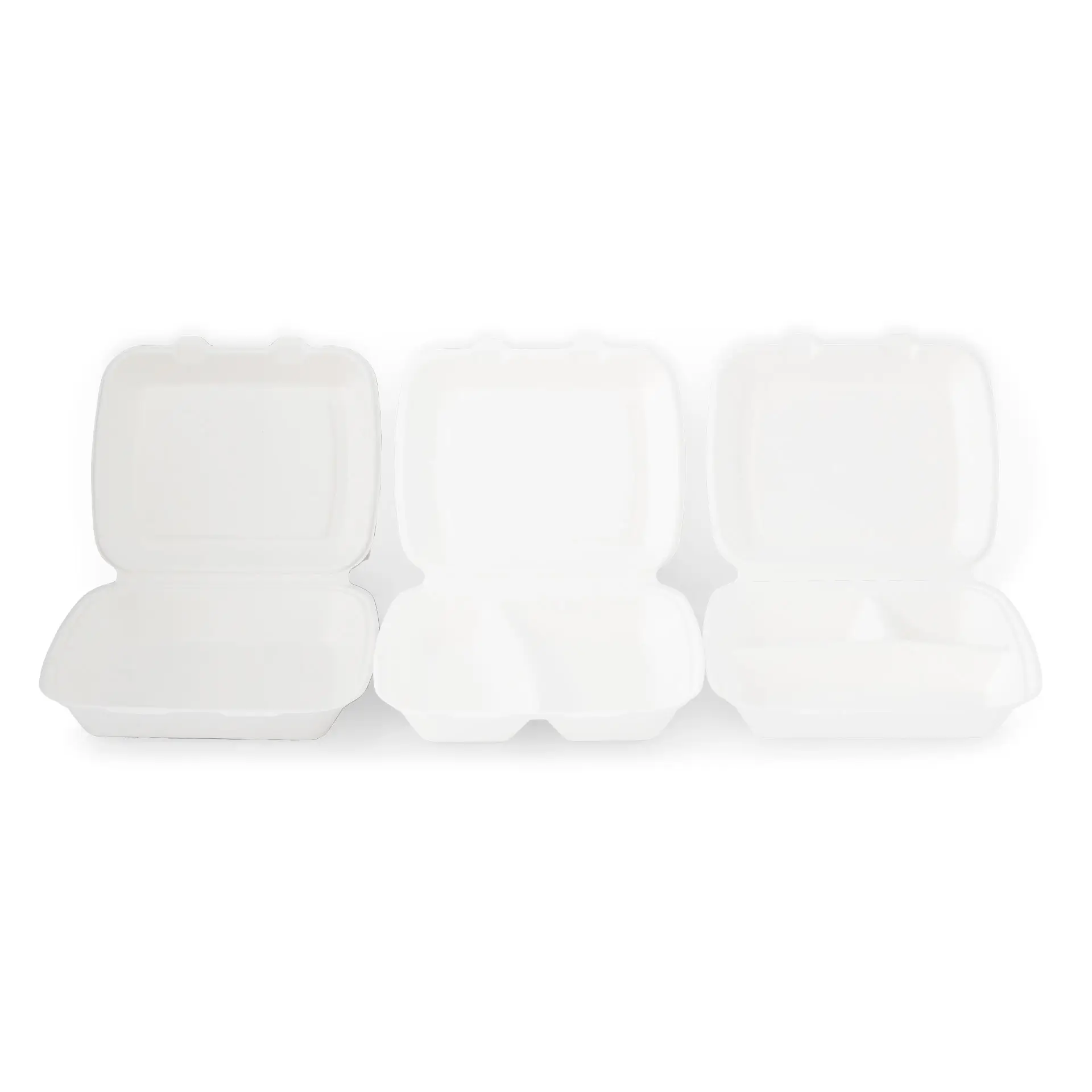 Sugarcane-containers 23 x 15.5 x 7.5 cm, hinged-lid, rectangular