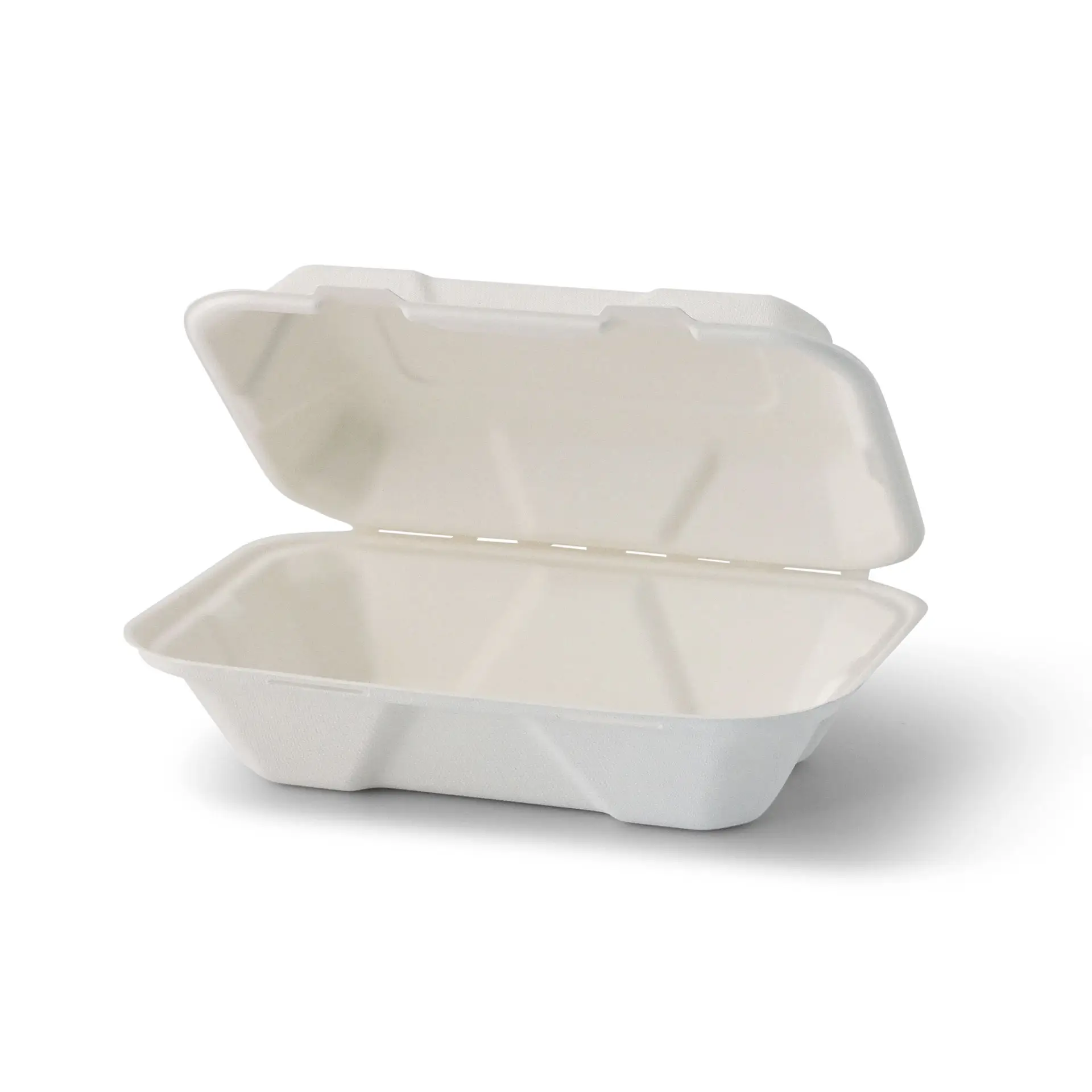 Sugarcane-containers 23 x 15.5 x 7.5 cm, hinged-lid, rectangular