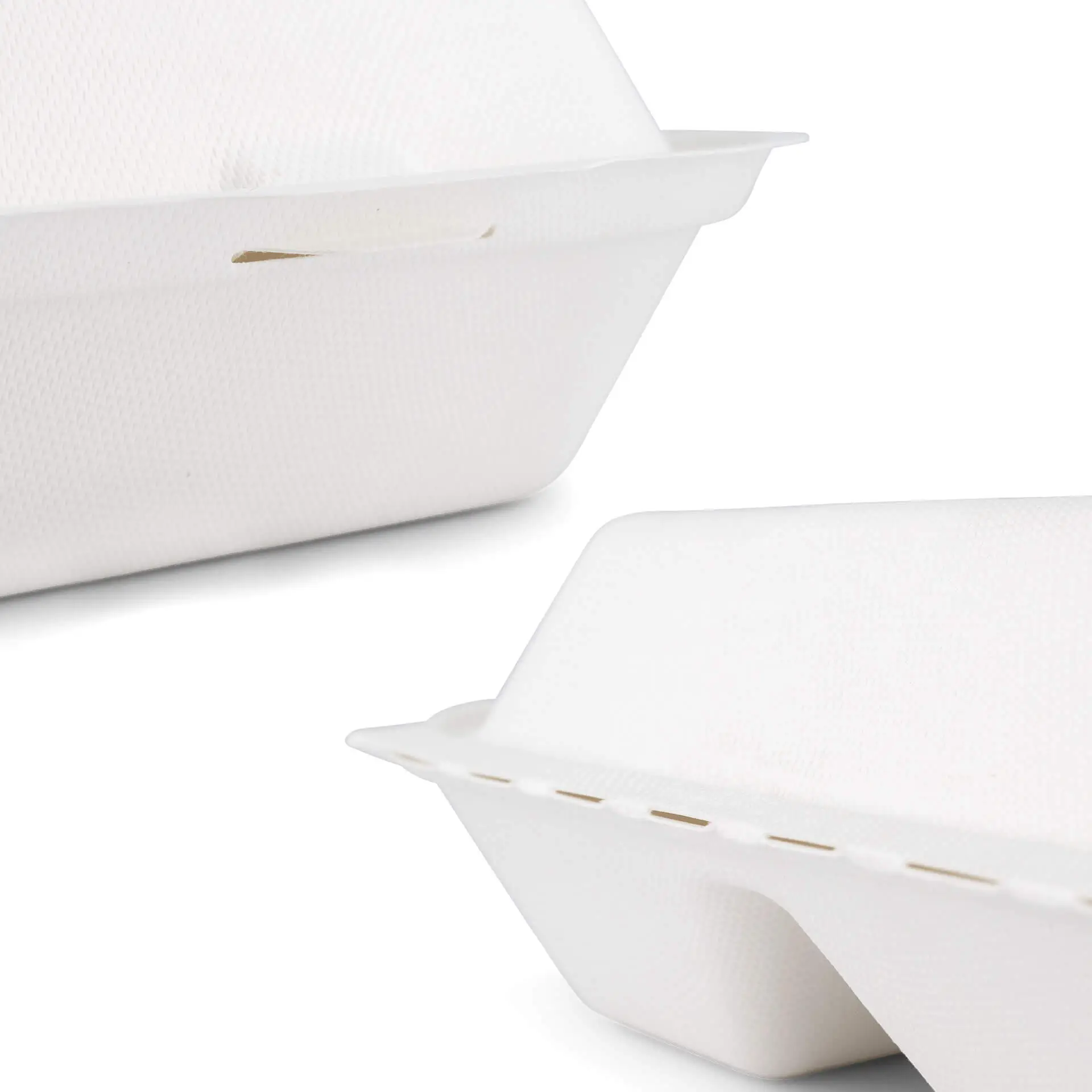 Sugarcane-menu containers 25 x 20 x 7.5 cm, 3 compartments, HP4/3,  hinged-lid, rectangular