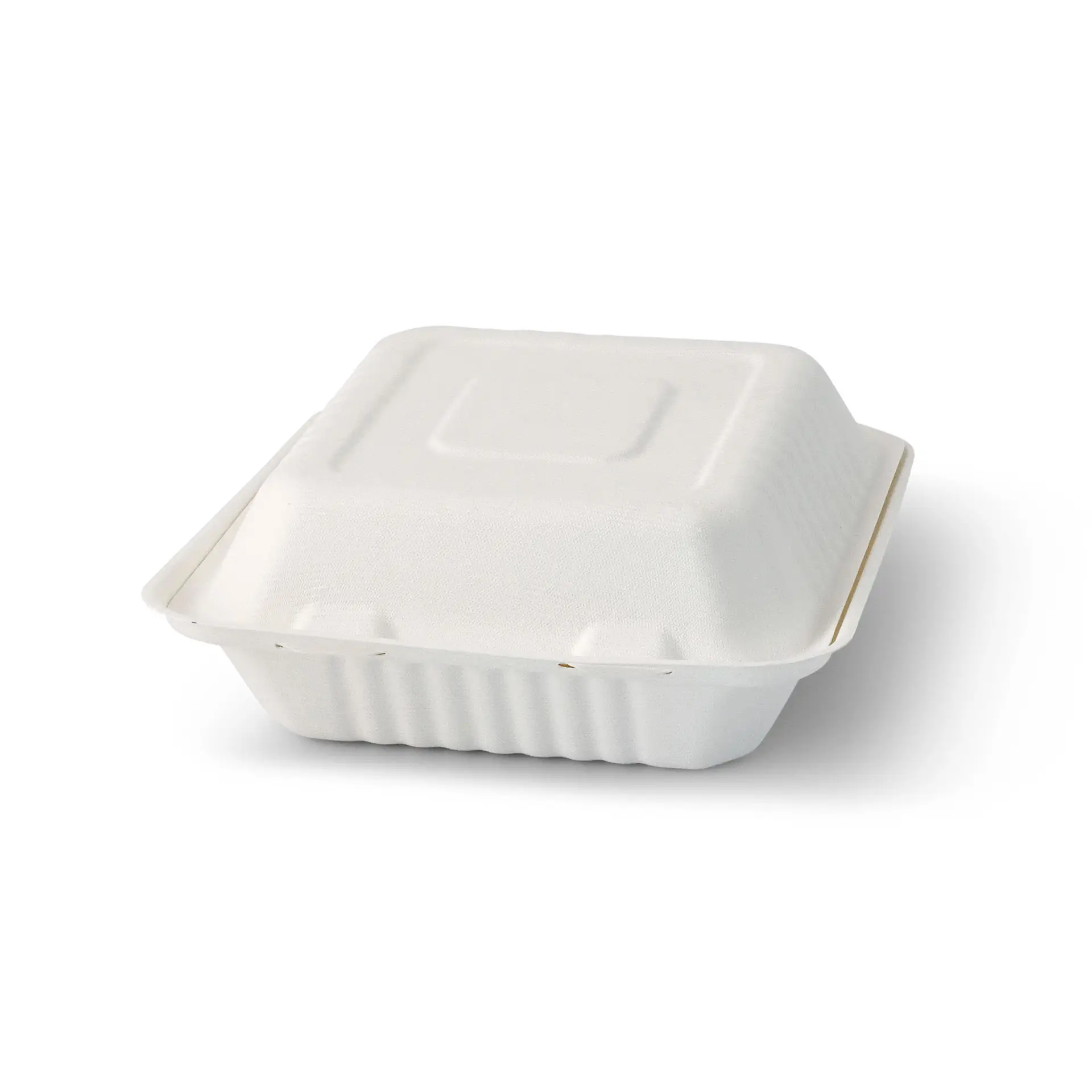 Sugarcane-containers 22 x 18,5 x 7 cm, hinged-lid, rectangular