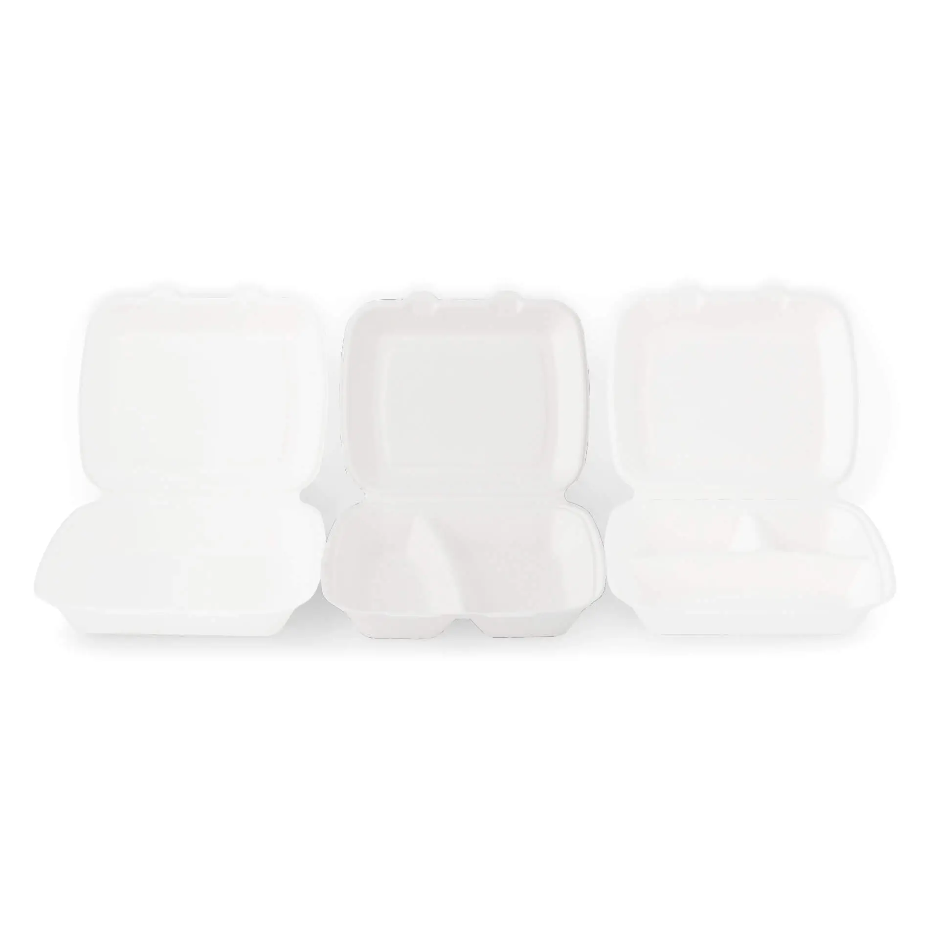 Sugarcane-menu containers 25 x 20 x 7.5 cm, 2 compartments, HP4/2,  hinged-lid, rectangular