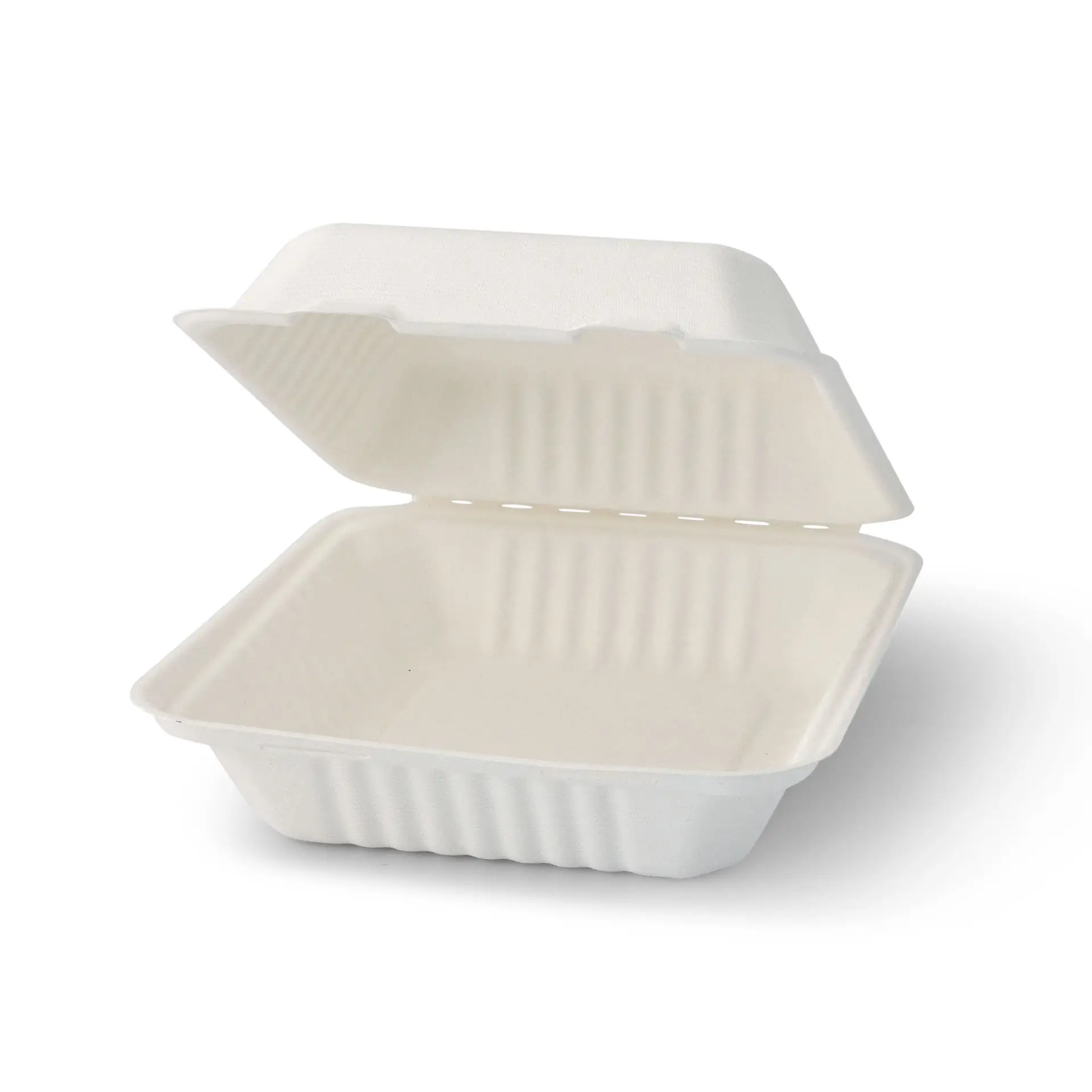 Sugarcane-containers 22 x 18,5 x 7 cm, hinged-lid, rectangular